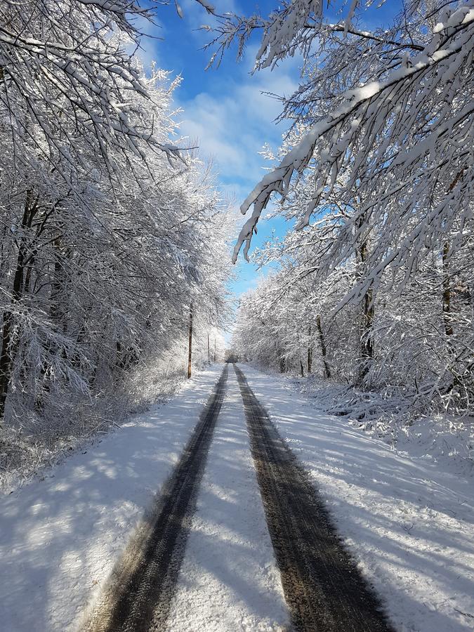 Hétházpuszta Erdészlak Isztimér Exterior foto